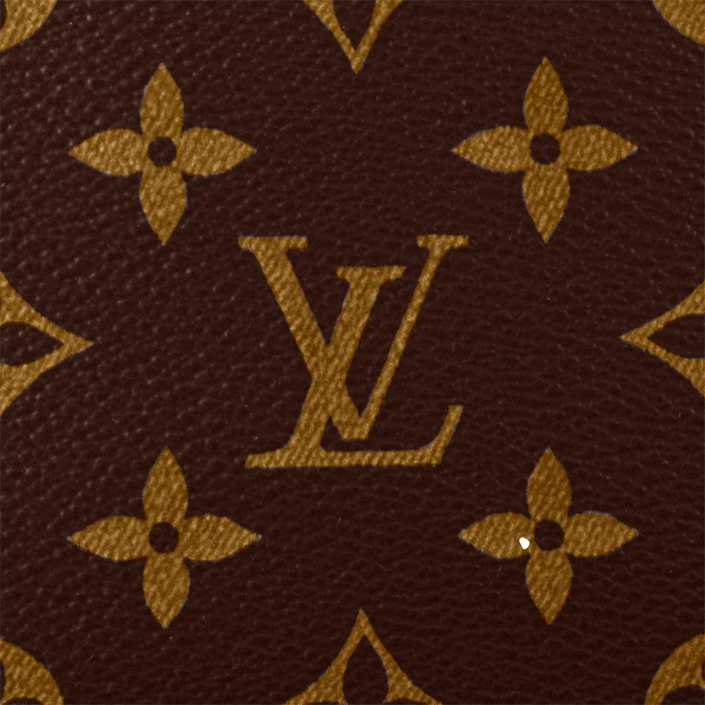 Josh backpack leather bag Louis Vuitton Brown in Leather - 24272099