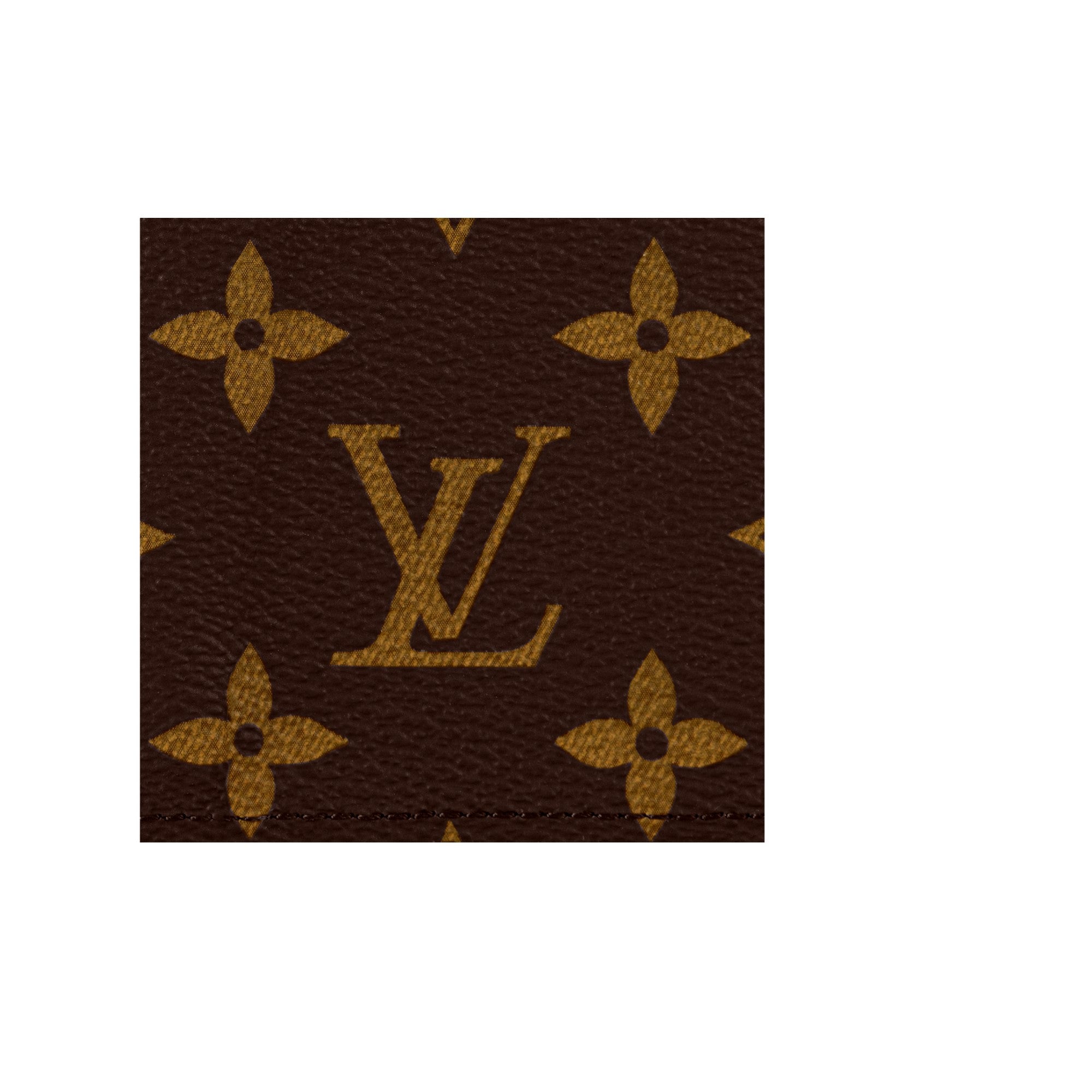 Louis Vuitton Monogram Canvas Cowhide Leather Passport Cover in Classic Brown