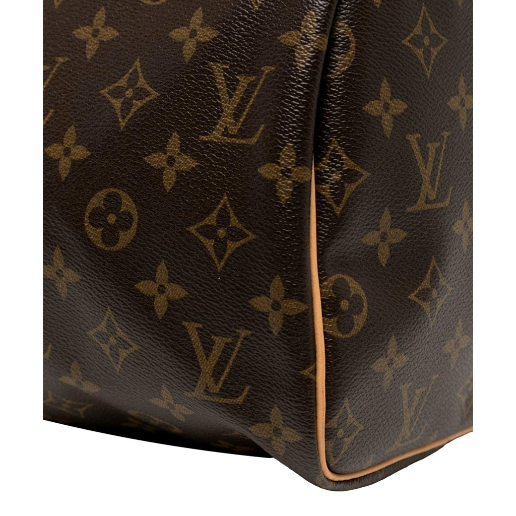 Louis Vuitton Speedy Handbag 30 M41108 IN CANVAS MONOGRAM HAND BAG PURSE  Brown Cloth ref.949309 - Joli Closet