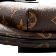 Louis Vuitton Monogram Macassar Christopher Bumbag - available at Queen Bee of Beverly Hills. 
